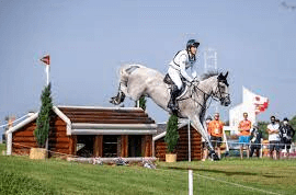 What Are The Different Types Of Jumps In Cross-Country Riding?