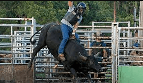 How Can One Train For Bull Riding?