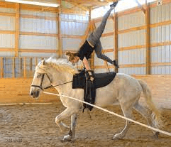 How Can One Train A Horse For Equestrian Vaulting?