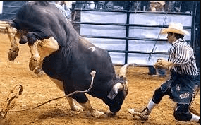 How Can One Prevent Injuries In Rodeo?