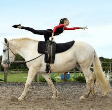 What Are The Basic Moves In Equestrian Vaulting?
