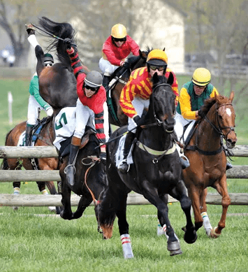 How Can Steeplechase Injuries Be Prevented?