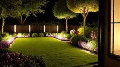 Illuminate Your Landscape With Outdoor Lighting Tips for Gardens and Pathways