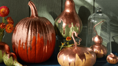 Food:0h_Uecrdwcm= Pumpkin Painting Ideas