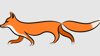 Clipart:Xm0ixlqtvvs= Fox