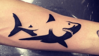 Simple:6nplwatpxam= Shark Tattoo