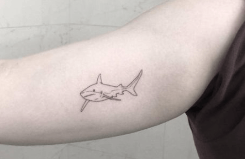 Simple:6nplwatpxam= Shark Tattoo