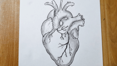 Drawing:16tykyk-J8c= Heart