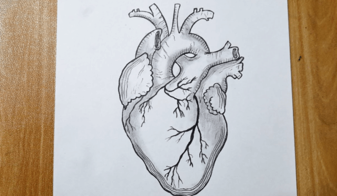 Drawing:16tykyk-J8c= Heart