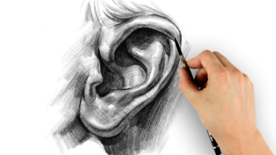 Drawing:4vl5x_Oz3yg= Human Ear