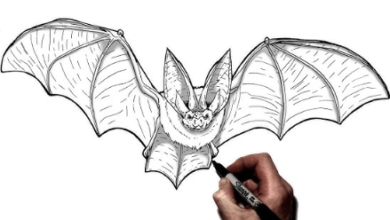 Drawing:Ga7fdbumoe0= Bat