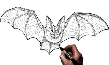 Drawing:Ga7fdbumoe0= Bat