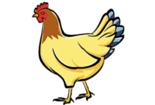 Benefits of Using Chicken Clipart