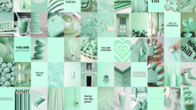 Aesthetic:I1gcbuwqehc= Mint