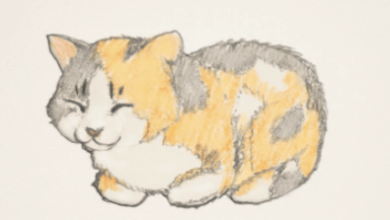 Cute:Hncy3-8rou0= How to Draw a Cat