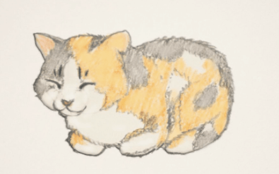 Cute:Hncy3-8rou0= How to Draw a Cat