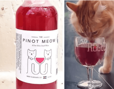 Pinot Meow Net Worth 2023 Shark Tank: Cat Wine Product Earnings