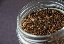 flavorful spice blend insights