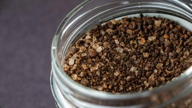 flavorful spice blend insights