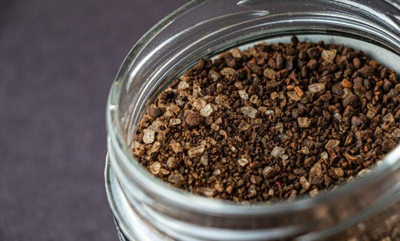 flavorful spice blend insights