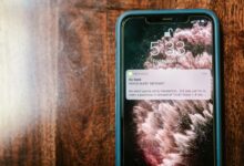 fraudulent call verification needed