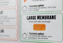 hidghanem palidahattiaz details