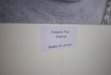 information on pimslapt2154