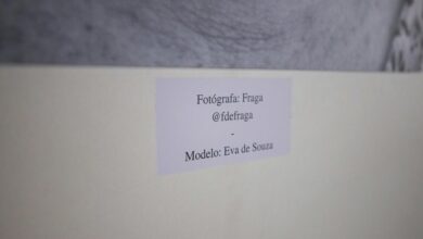 information on pimslapt2154