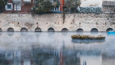 krylovalster unique characteristics highlighted