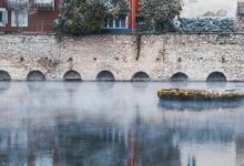 unique characteristics of putakocura