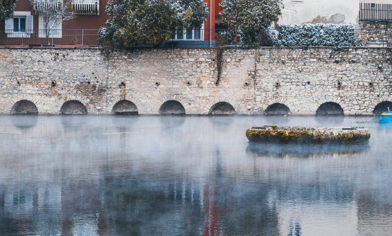 unique characteristics of putakocura