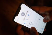 verify business support calls