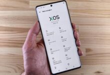 wezic model specifications revealed