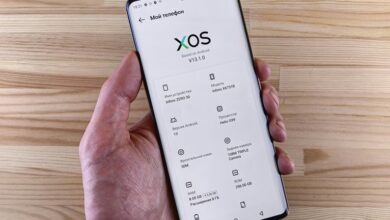 wezic model specifications revealed