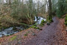 nova flow performance details