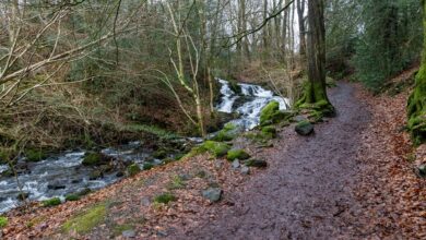 nova flow performance details