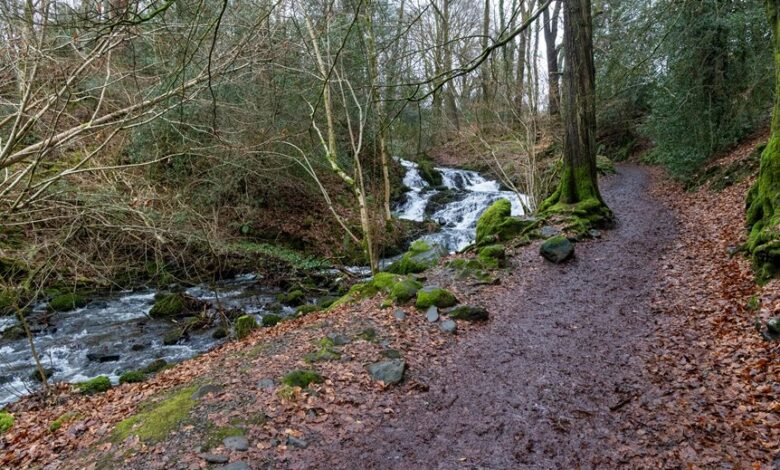 nova flow performance details