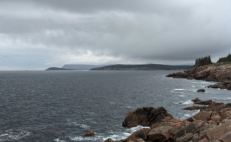 nova surge dynamic vector