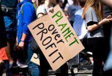 profit expansion success framework