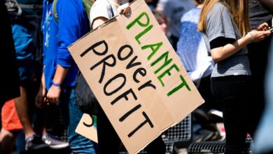 profit expansion success framework