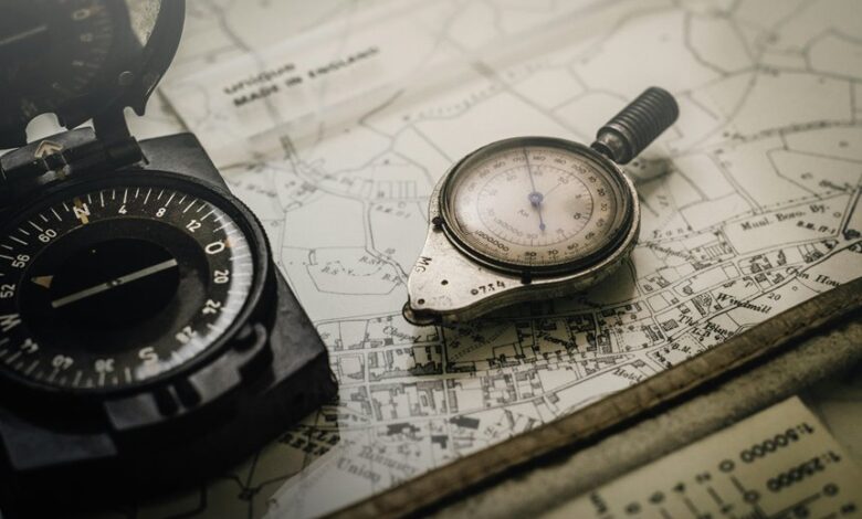 ranking maximizer 3 801 814 571 digital compass