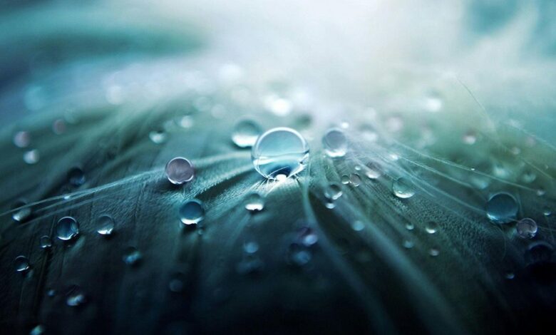 revenue from stellar flow