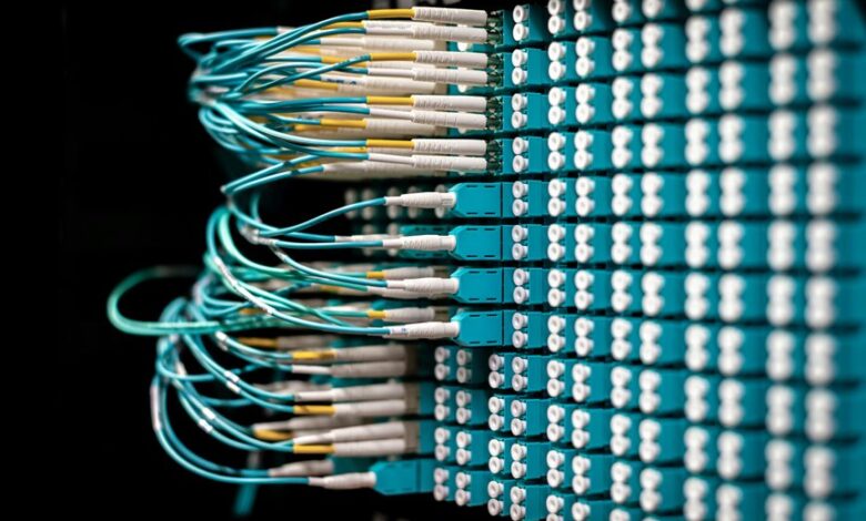 drive your brand forward 5735253056