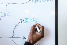 elevate your digital growth