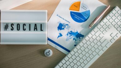 elevate your digital marketing platform