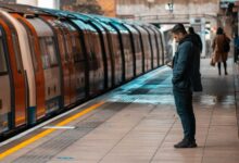 transform your digital presence growth platform