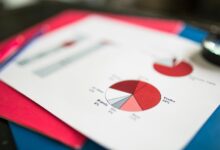 data verification report identifiers