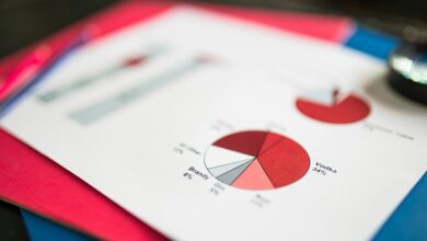 data verification report identifiers