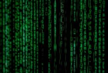 digital record inspection identifiers