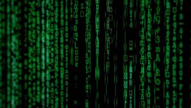 digital record inspection identifiers